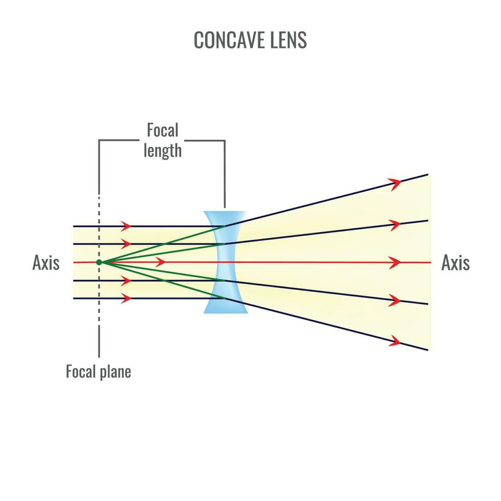 convexo e côncavo lente vetor ilustração diagramas