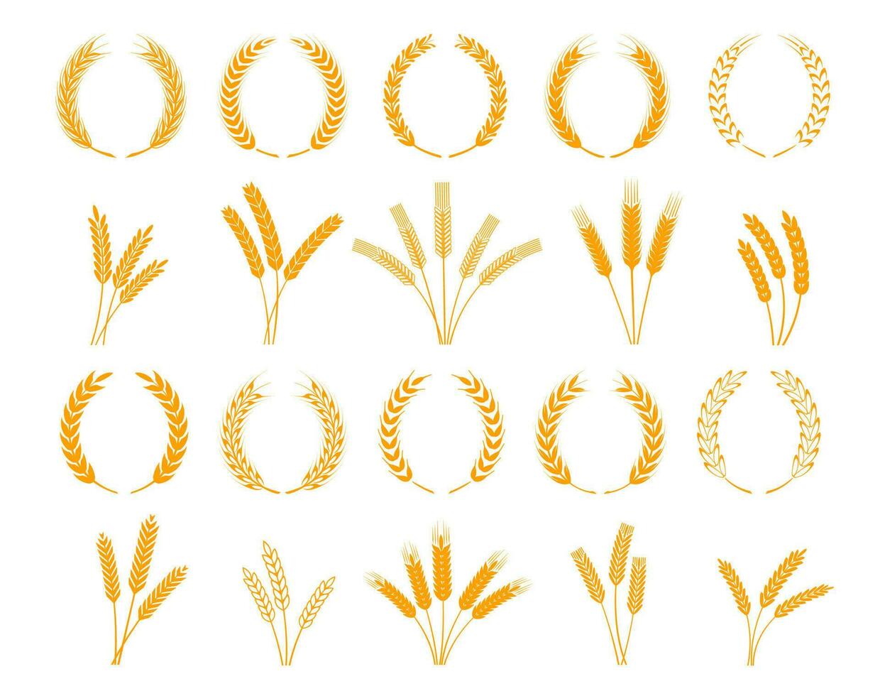 louro guirlanda, espigões do trigo, centeio ou cevada orelhas vetor