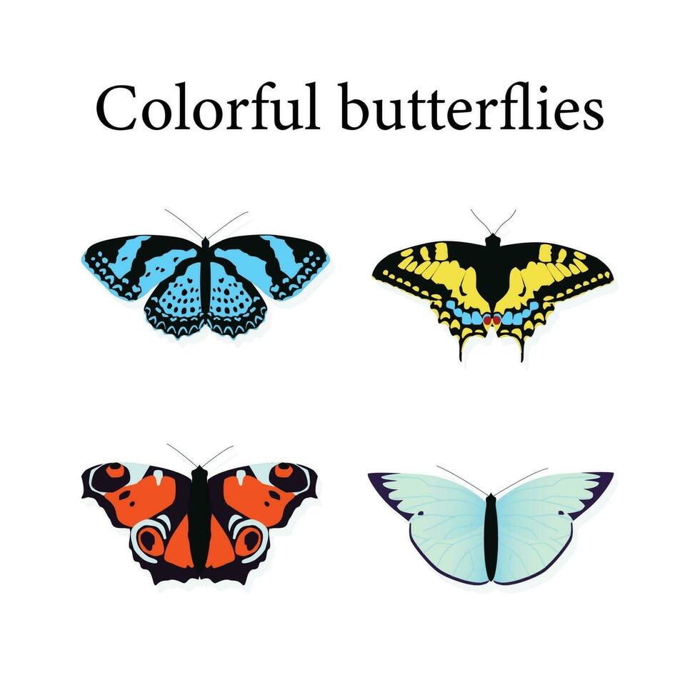 conjunto do colorida borboletas vetor