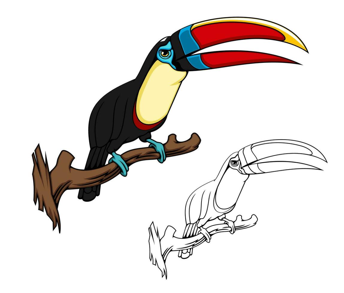 cidra garganta tucano mascote, tropical pássaro vetor