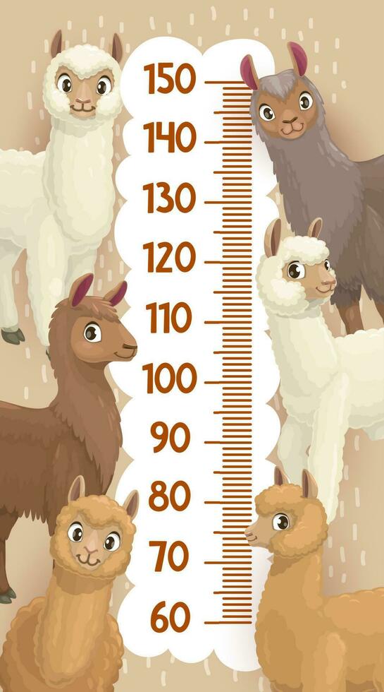 altura gráfico crescimento a medida régua lhama e alpaca vetor