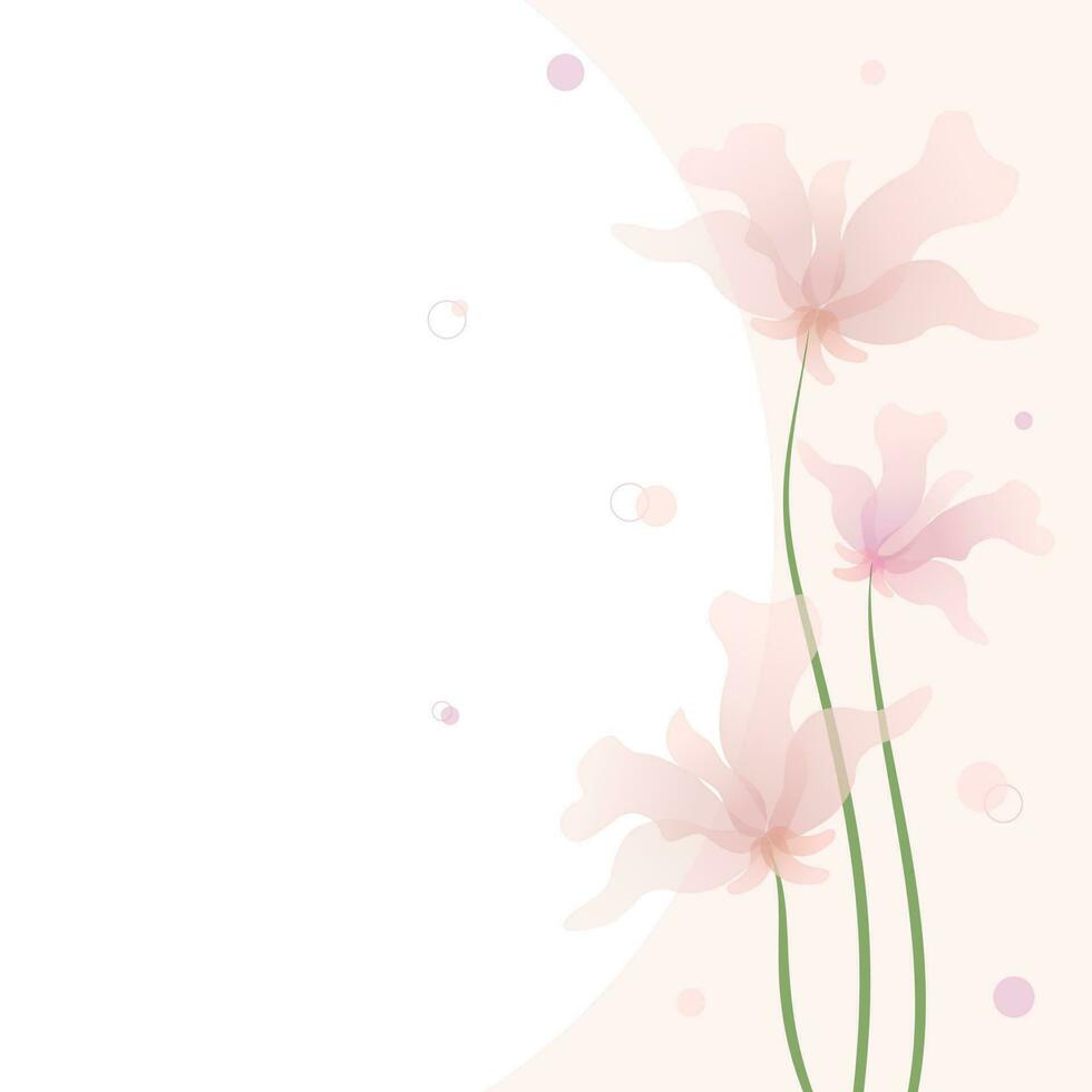 cartão postal fundo com Rosa translúcido delicado flores em uma haste e pólen. Rosa e branco fundo. vetor. eps10. vetor