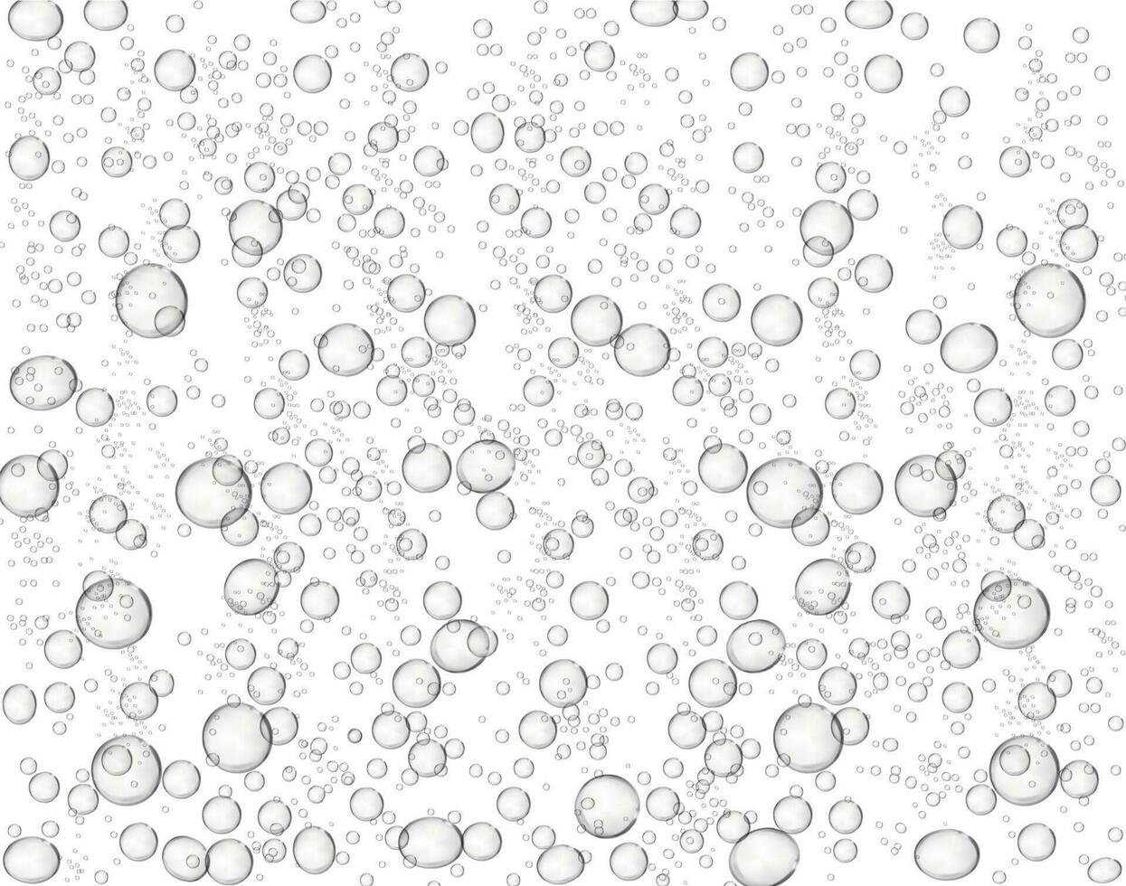 efervescente ar bolhas água, efervescente refrigerante beber vetor