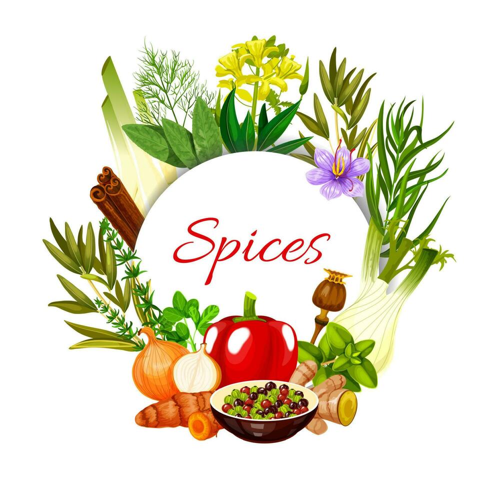 especiarias e temperos, Comida cozinhando aromas vetor