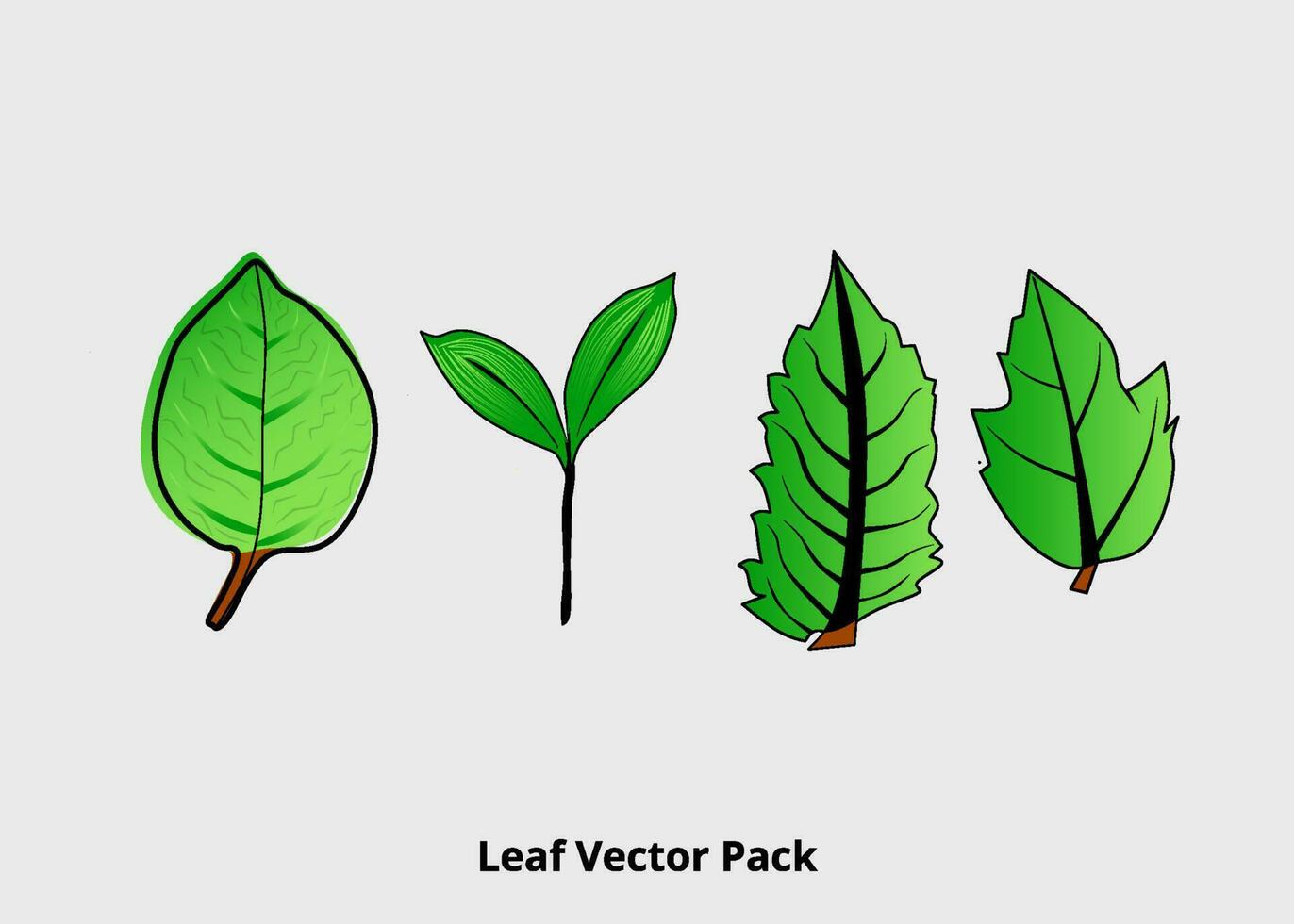 verde folha natureza folhagem coleção vetor