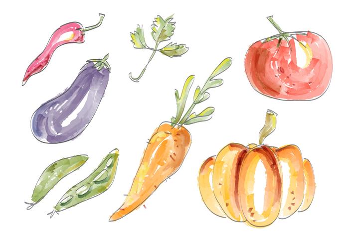 Legumes em Aquarela Vector Set Ilustração