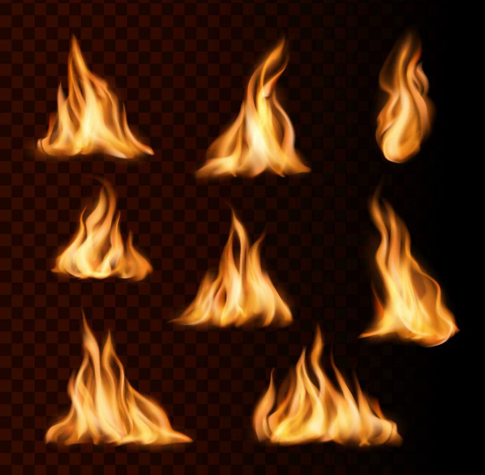 realista queimando fogo chamas do fogueira vetor