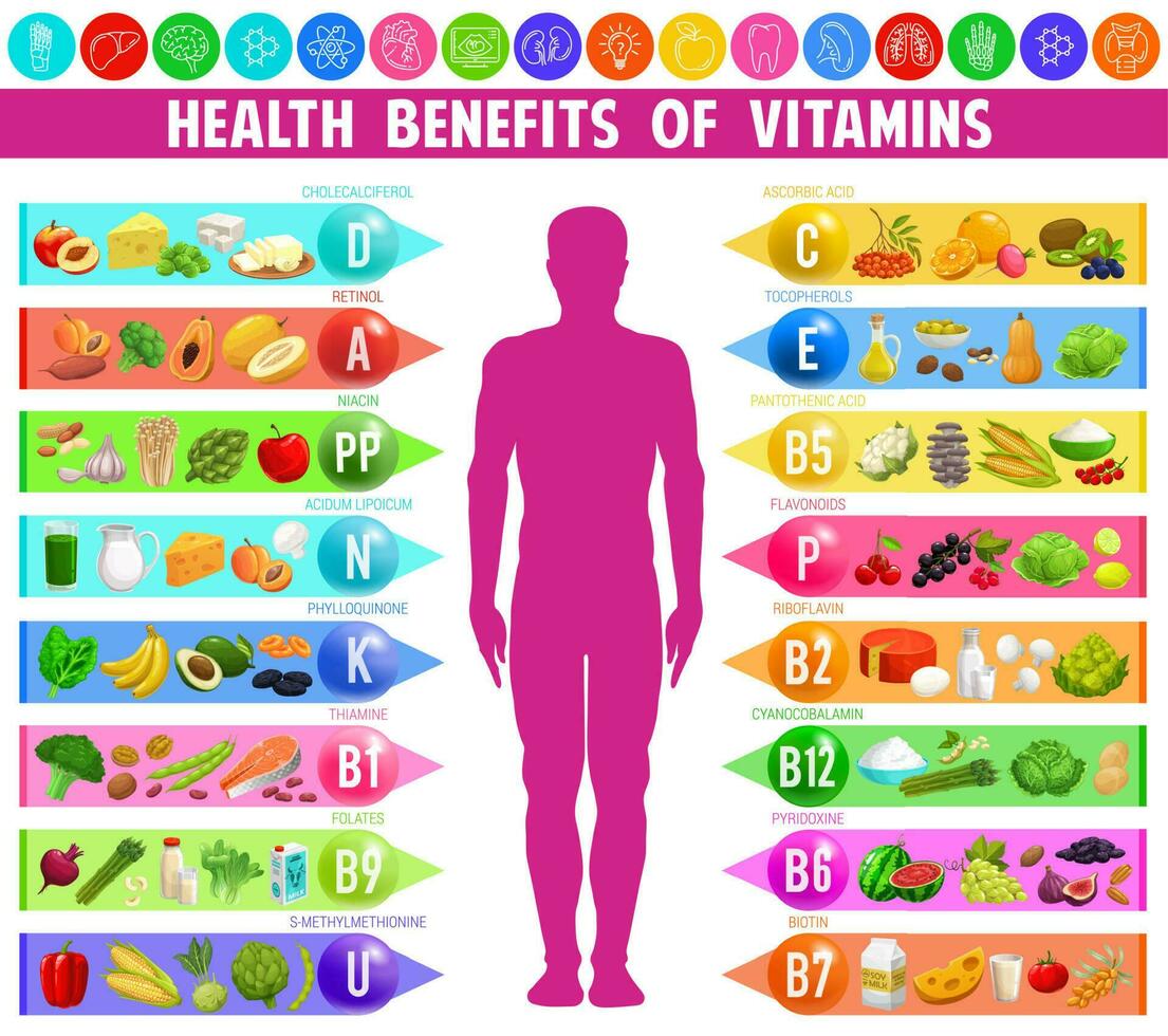 benefícios e fonte do vitaminas, minerais dentro Comida vetor