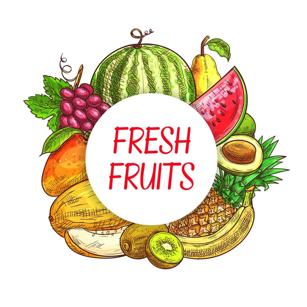 fresco frutas esboço poster, Fazenda mercado vetor