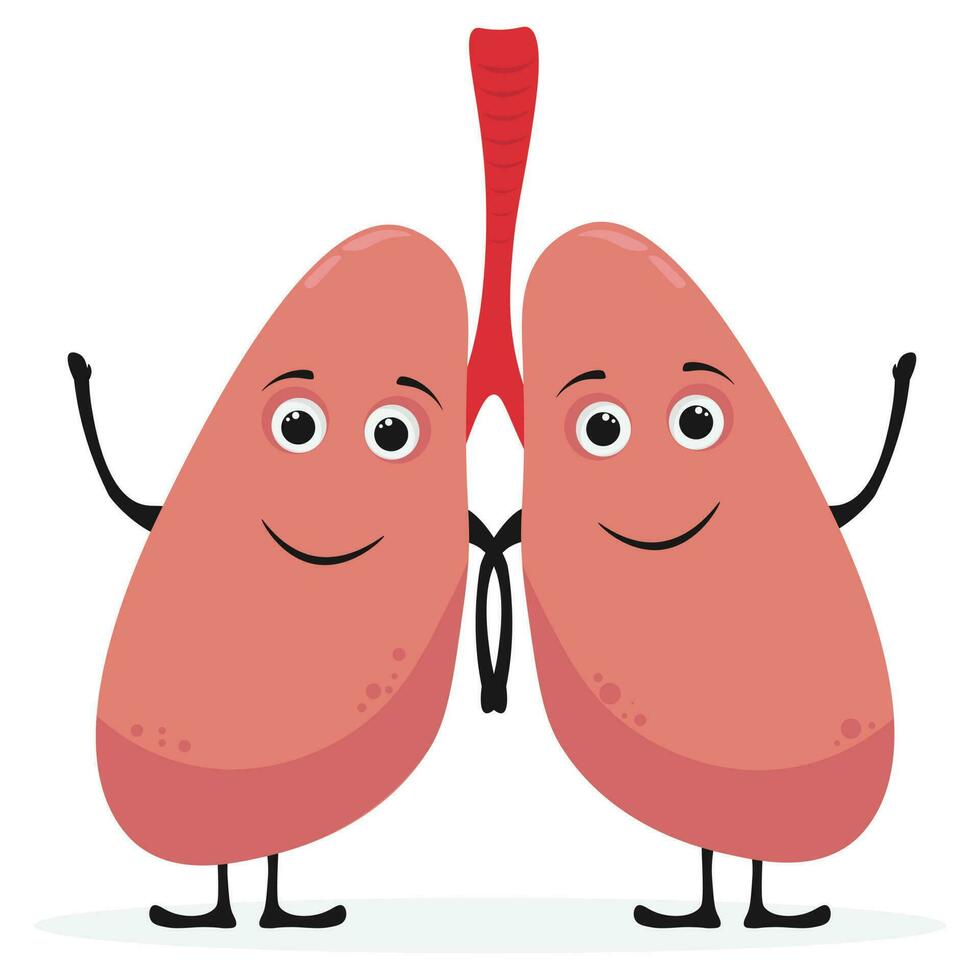 fofa engraçado humano pulmões órgão personagem. vetor plano linha desenho animado kawaii personagem ilustração ícone. isolado em branco fundo. pulmões órgão personagem conceito