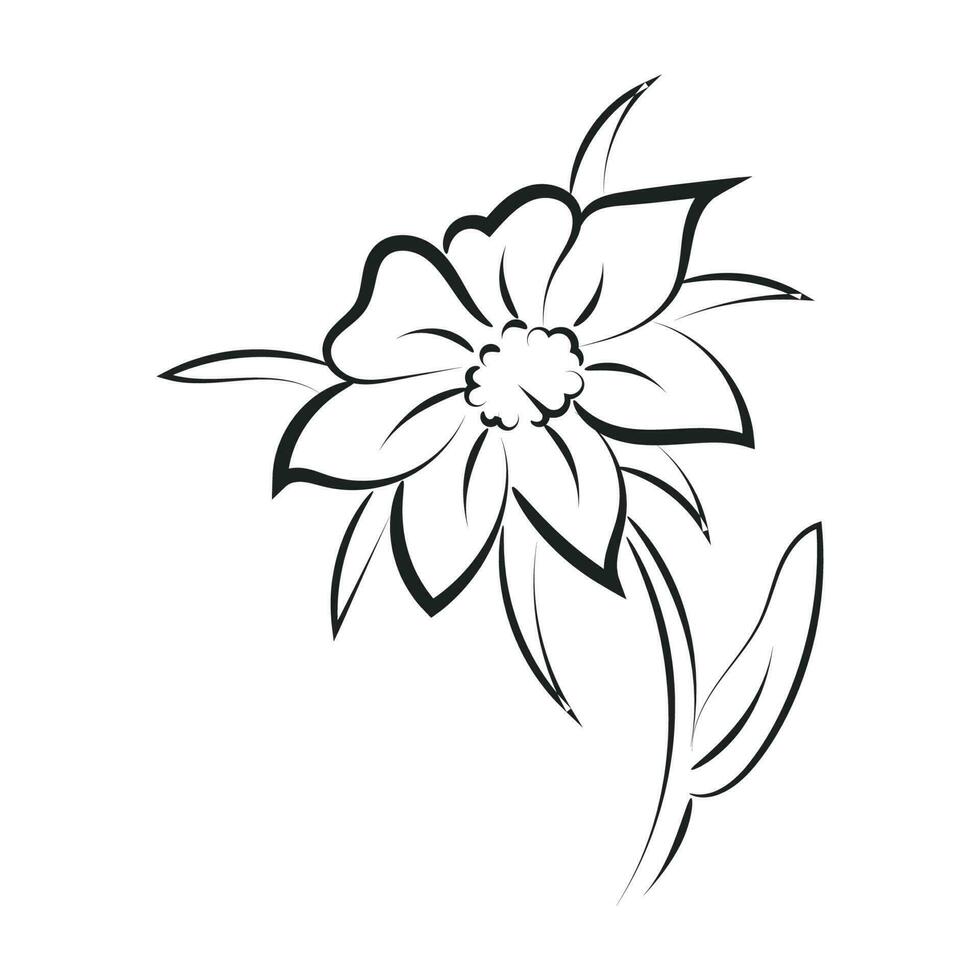 simples esboço com uma flor e sair vetor ilustração esboço mão desenhado para impressão ou usar Como poster, cartão, tatuagem ou t camisa