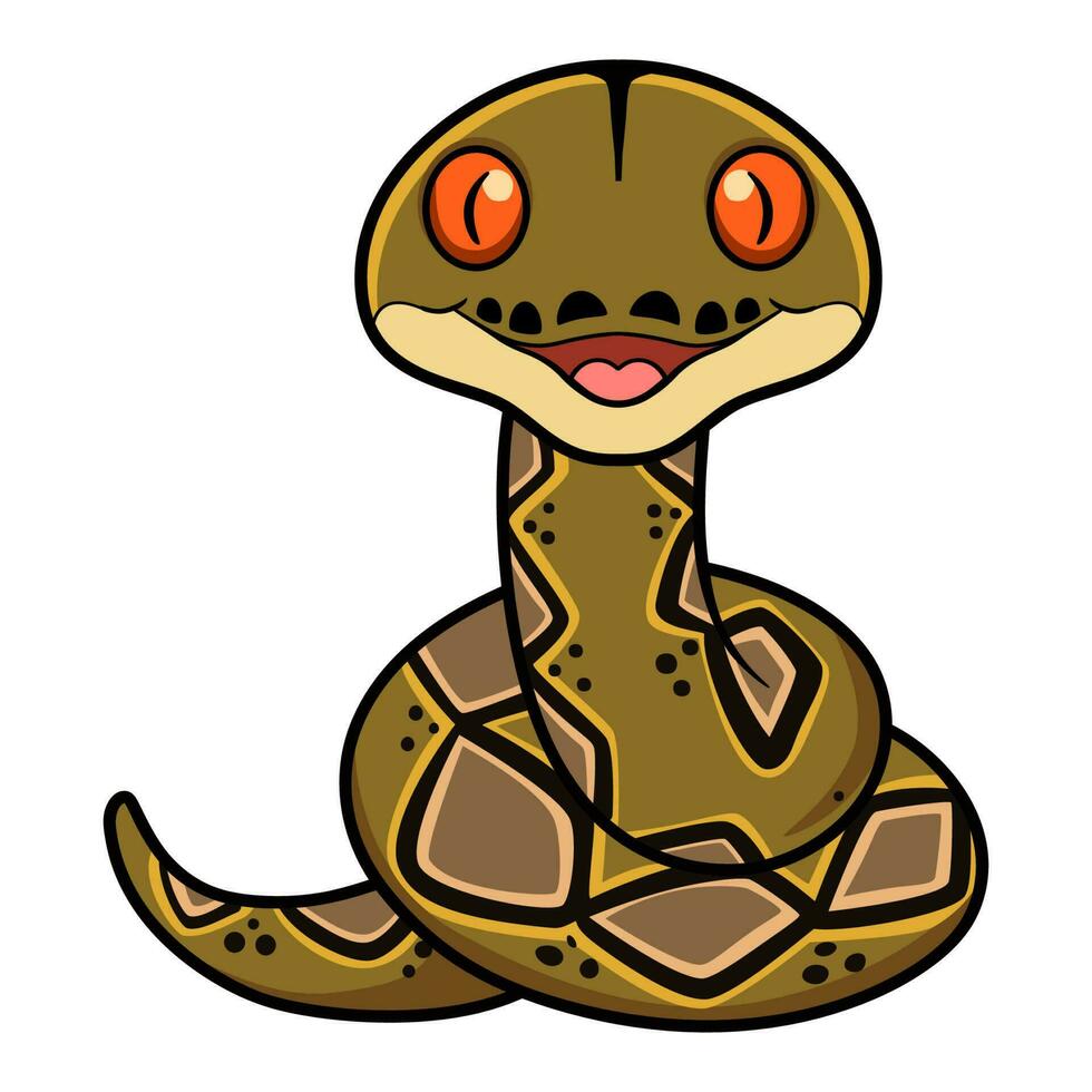 fofa feliz reticulatus Pitão desenho animado vetor