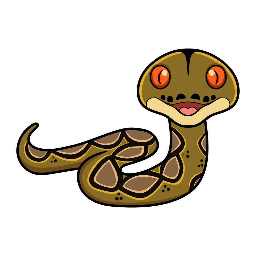 fofa feliz reticulatus Pitão desenho animado vetor