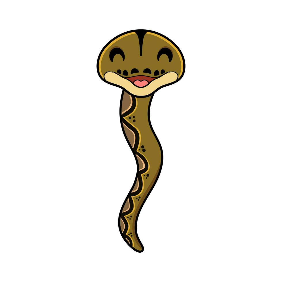 fofa feliz reticulatus Pitão desenho animado vetor