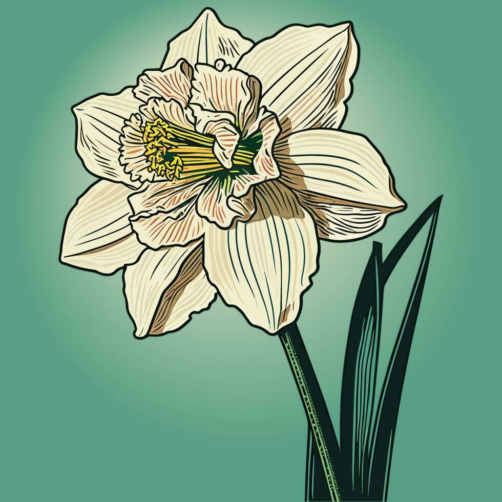 solteiro branco narciso flor vetor ilustração
