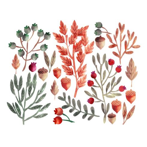 Vector Outono aquarela Floral Set