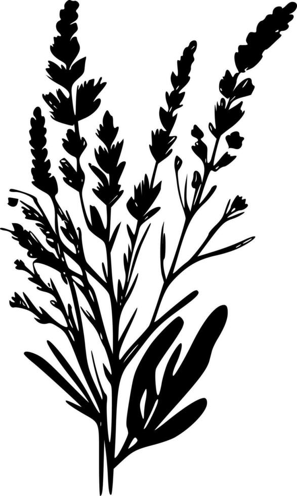 lavanda - minimalista e plano logotipo - vetor ilustração