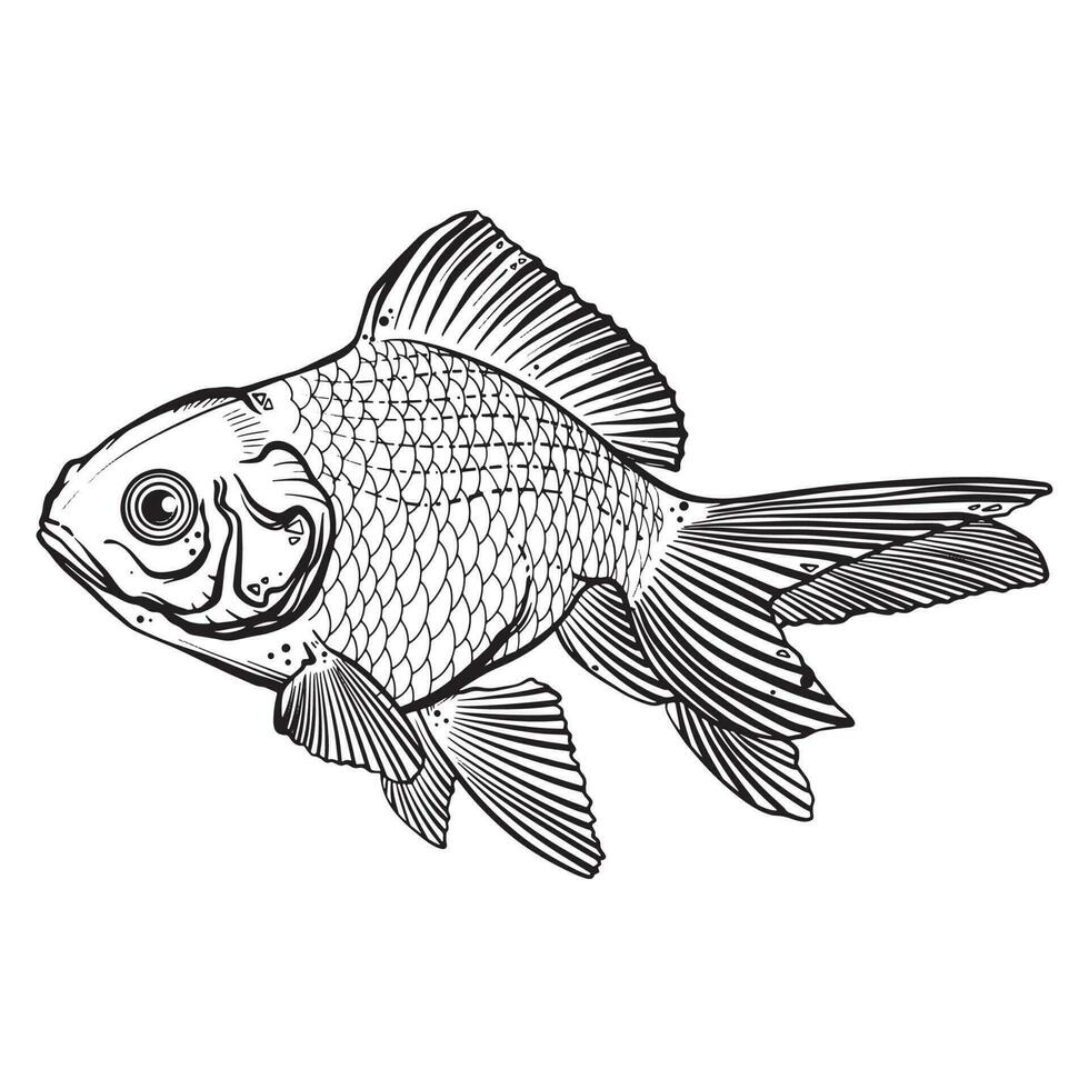 Preto tatuagem peixe, peixinho dourado, koi peixe em branco fundo vetor