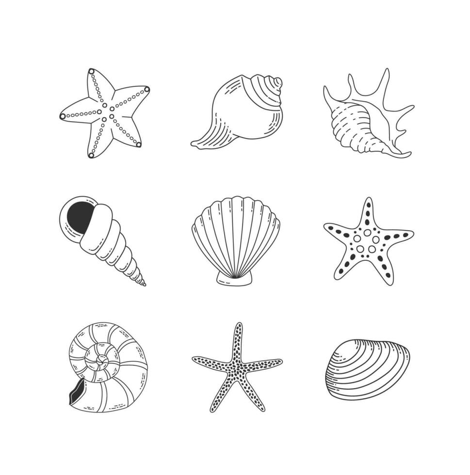 cartuchos e estrelas do mar esboço conjunto isolado em branco fundo. Concha do mar vetor ilustração. coleção do molusco molusco linear ícones. oceano berbigão.