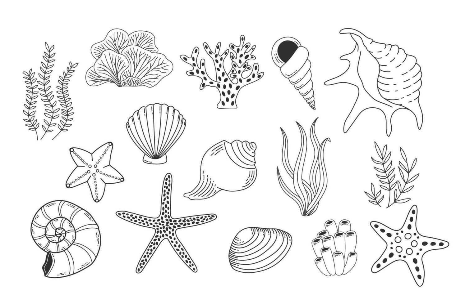 cartuchos, mar plantas e estrelas do mar isolado em branco fundo. coral recife vetor ilustração. coleção do molusco molusco linear ícones. oceano vida esboço conjunto