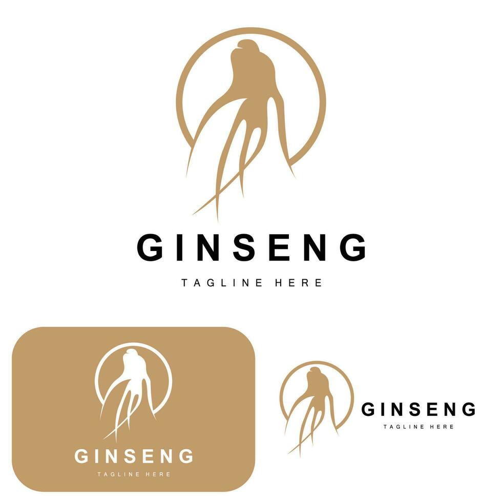 ginseng logotipo, ervas plantar vetor, natural ervas medicamento, ginseng ervas beber ícone vetor