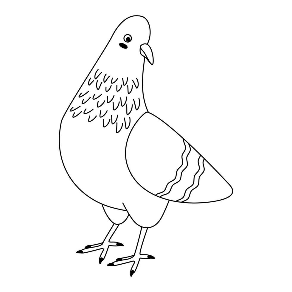 bonitinho, desenho animado pomba pássaro. linha arte. vetor