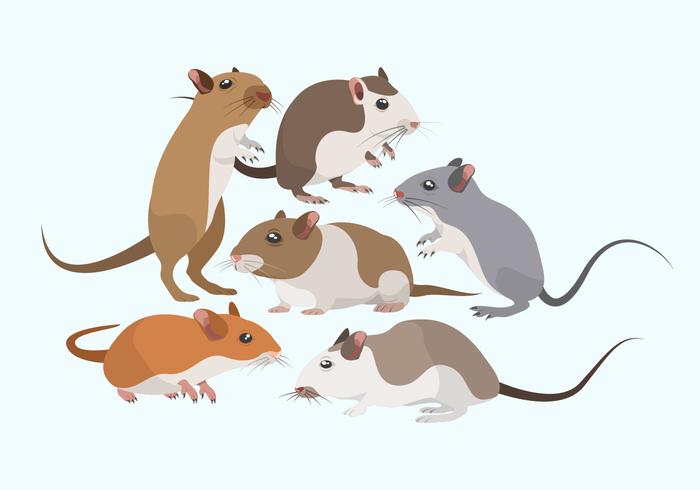 Coleção de vetores de roedores de rato