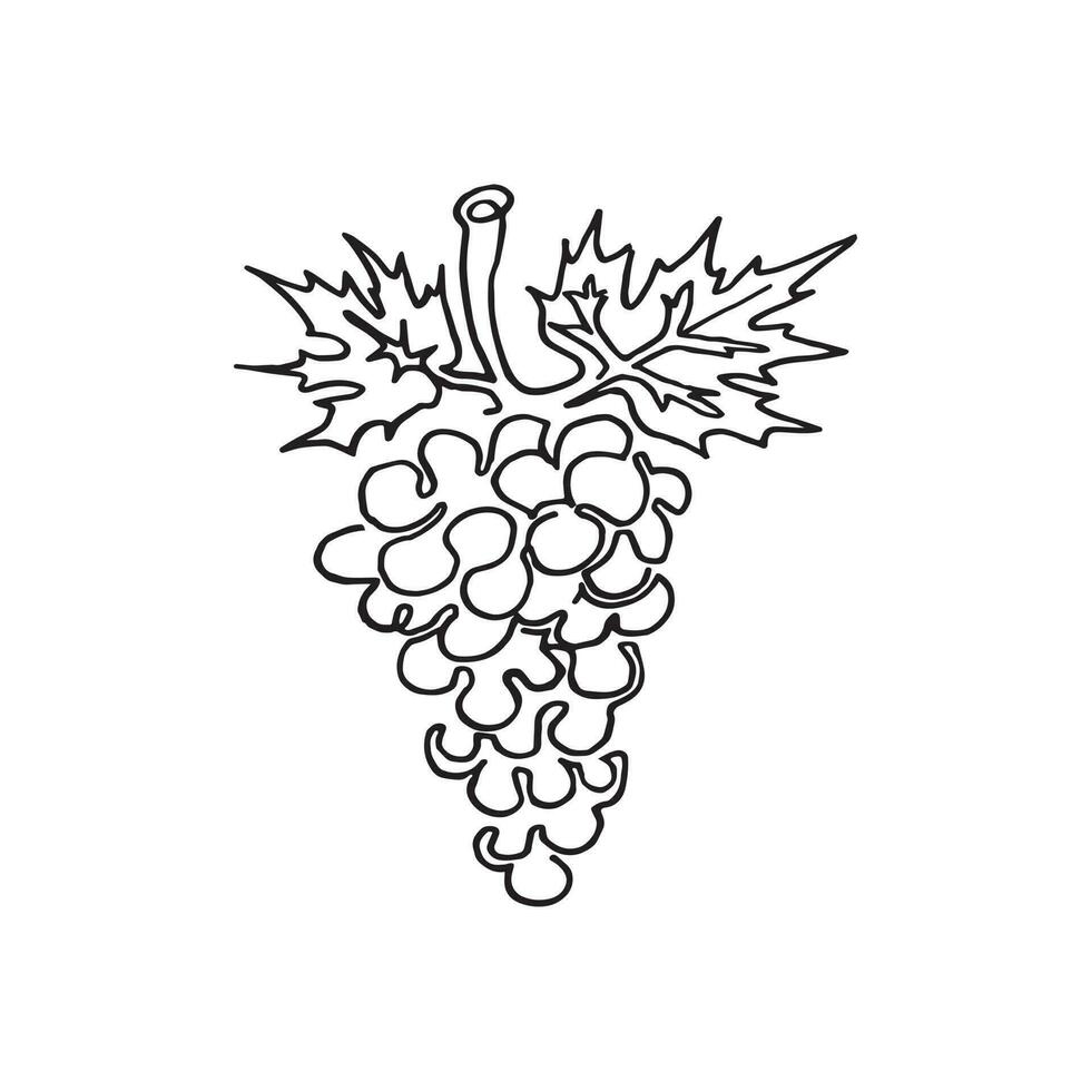 mão desenhado ilustração. vetor isolado fruta fatiar. Preto esboço ilustração, melancia, morango, granada, pera, cereja, vetor, lineart do fruta fatiar. gráfico uvas. uvas.