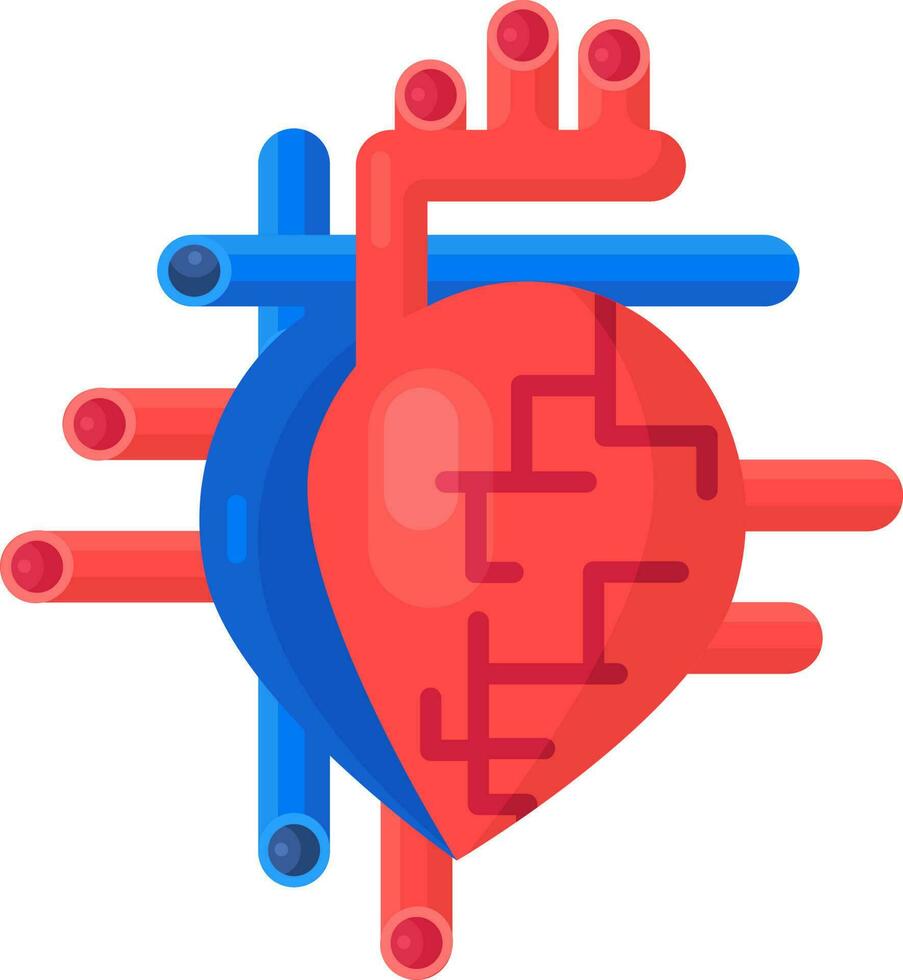 saudável coração órgão artérias embarcações plano ícone vetor