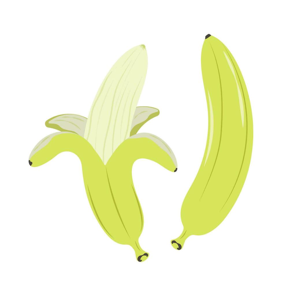 ilustração do uma todo e descascado banana vetor