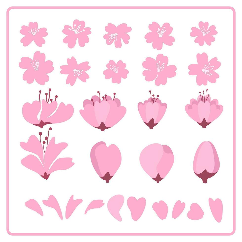 conjunto do cereja Flor japonês sakura, Primavera floral ícones. vetor ilustração.