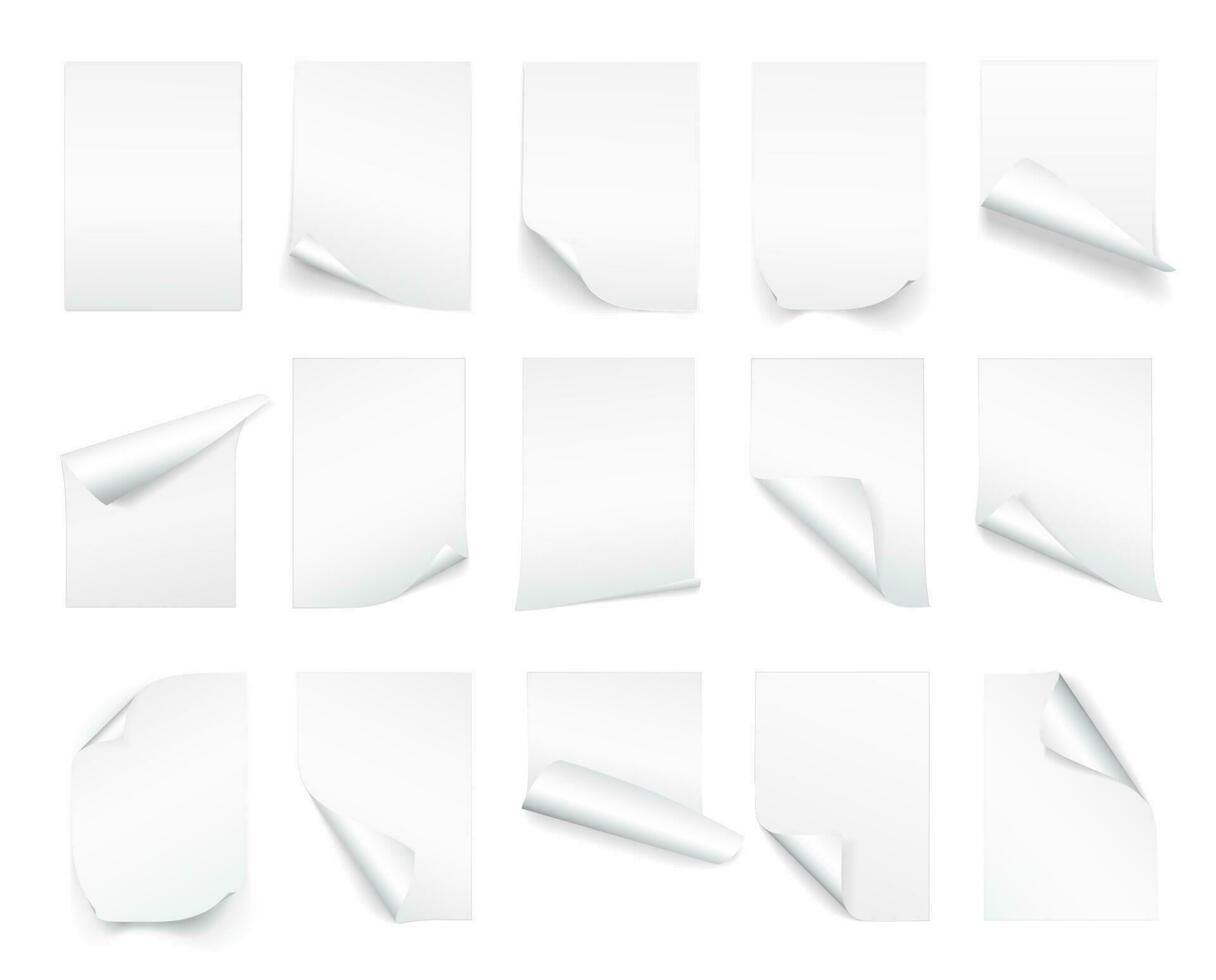 em branco a4 Folha do branco papel com enrolado canto e sombra, modelo para seu Projeto. definir. vetor ilustração