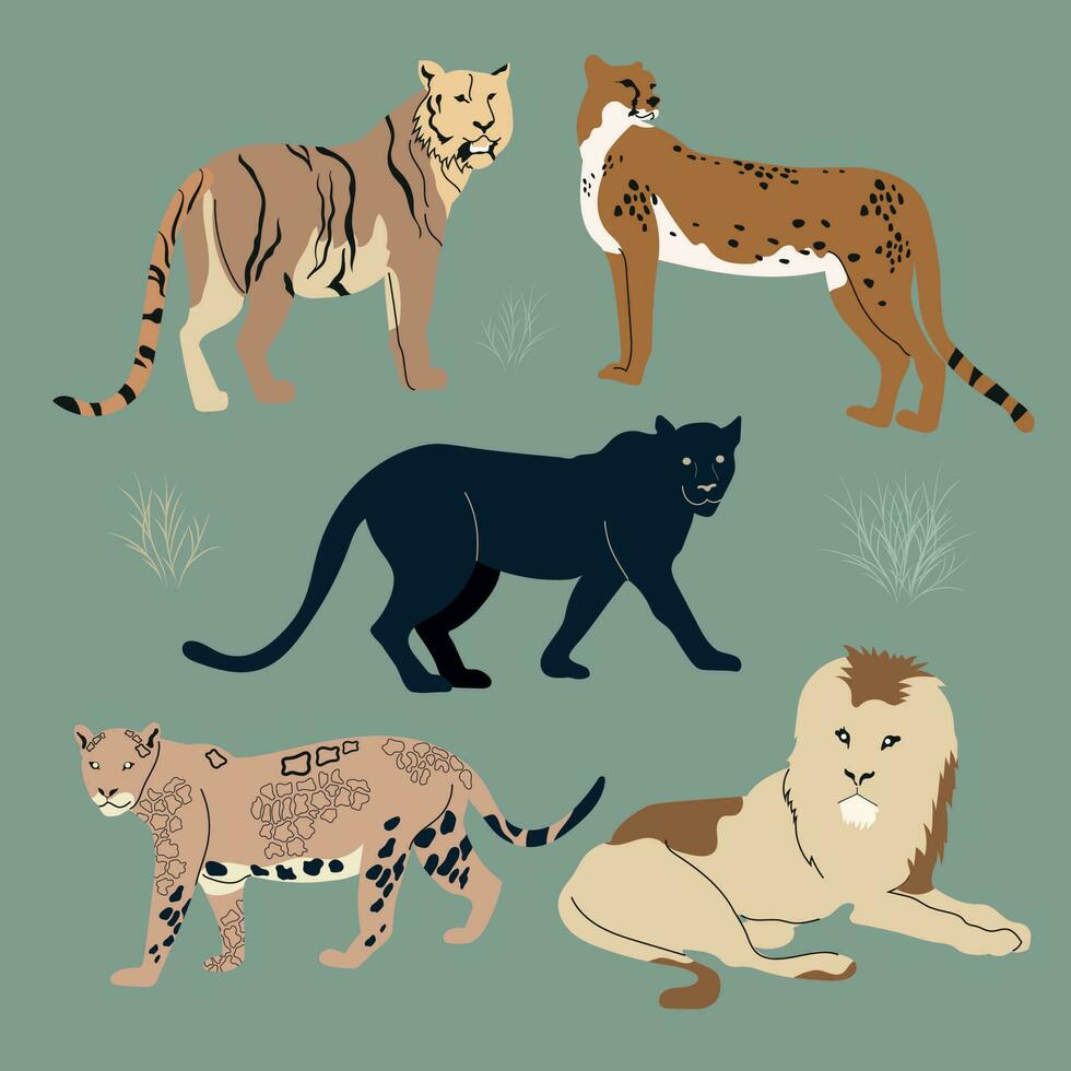 conjunto do diferente felino animais. leão, pantera, guepardo, tigre, jaguar. vetor plano ilustração em uma Sombrio fundo.
