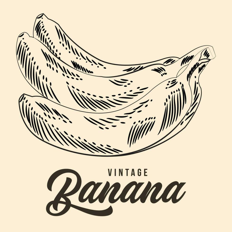 vintage mão desenhando banana fruta esboço vetor estoque ilustração