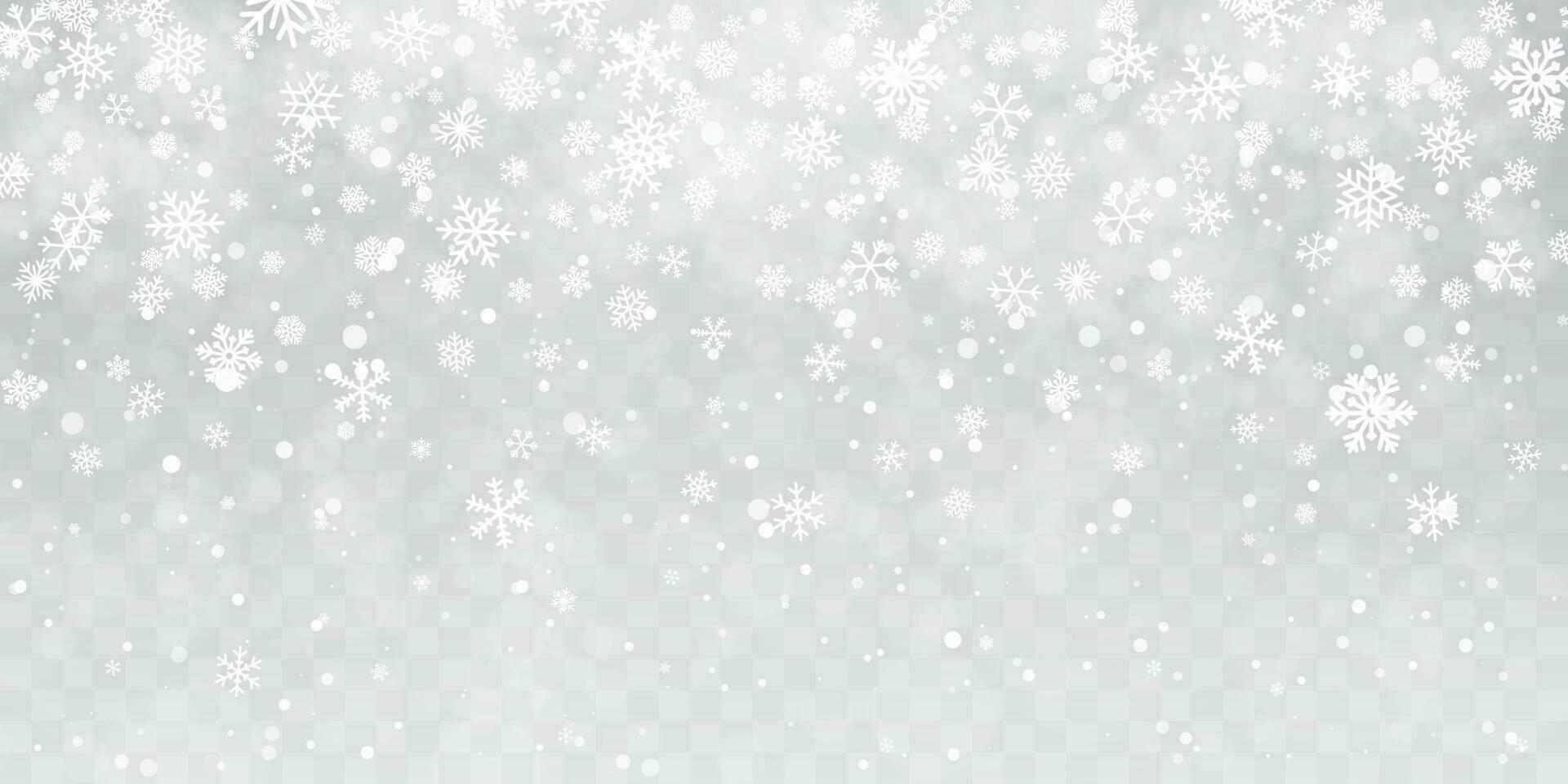 Natal neve. pesado queda de neve. queda flocos de neve em transparente fundo. branco flocos de neve vôo dentro a ar. vetor ilustração