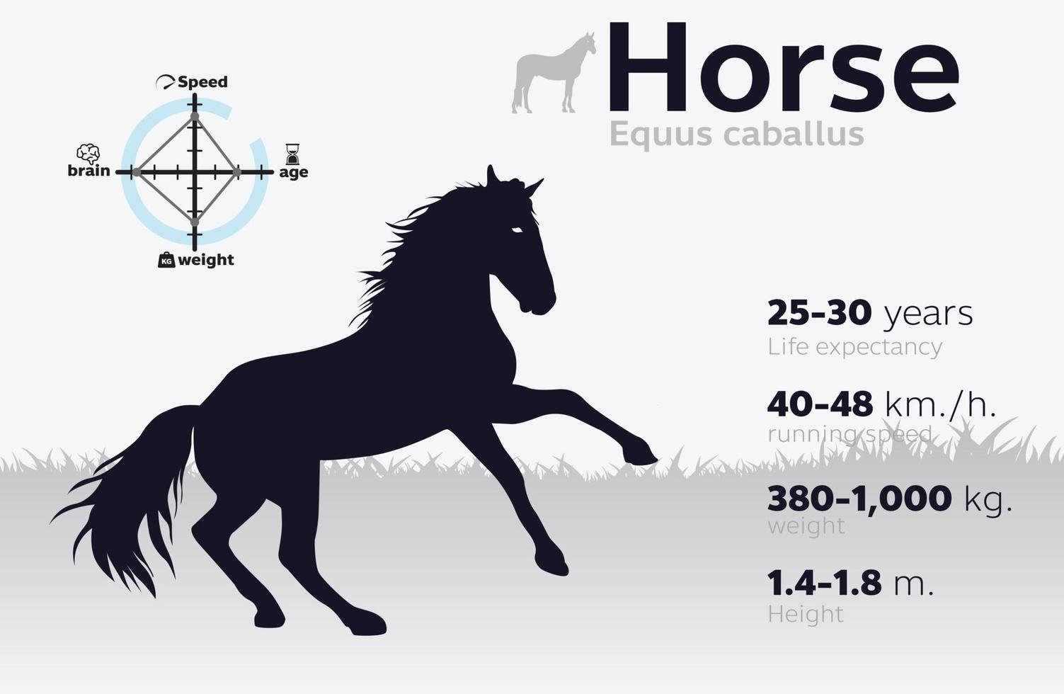 ilustração de informação de cavalo em um vetor de fundo 10