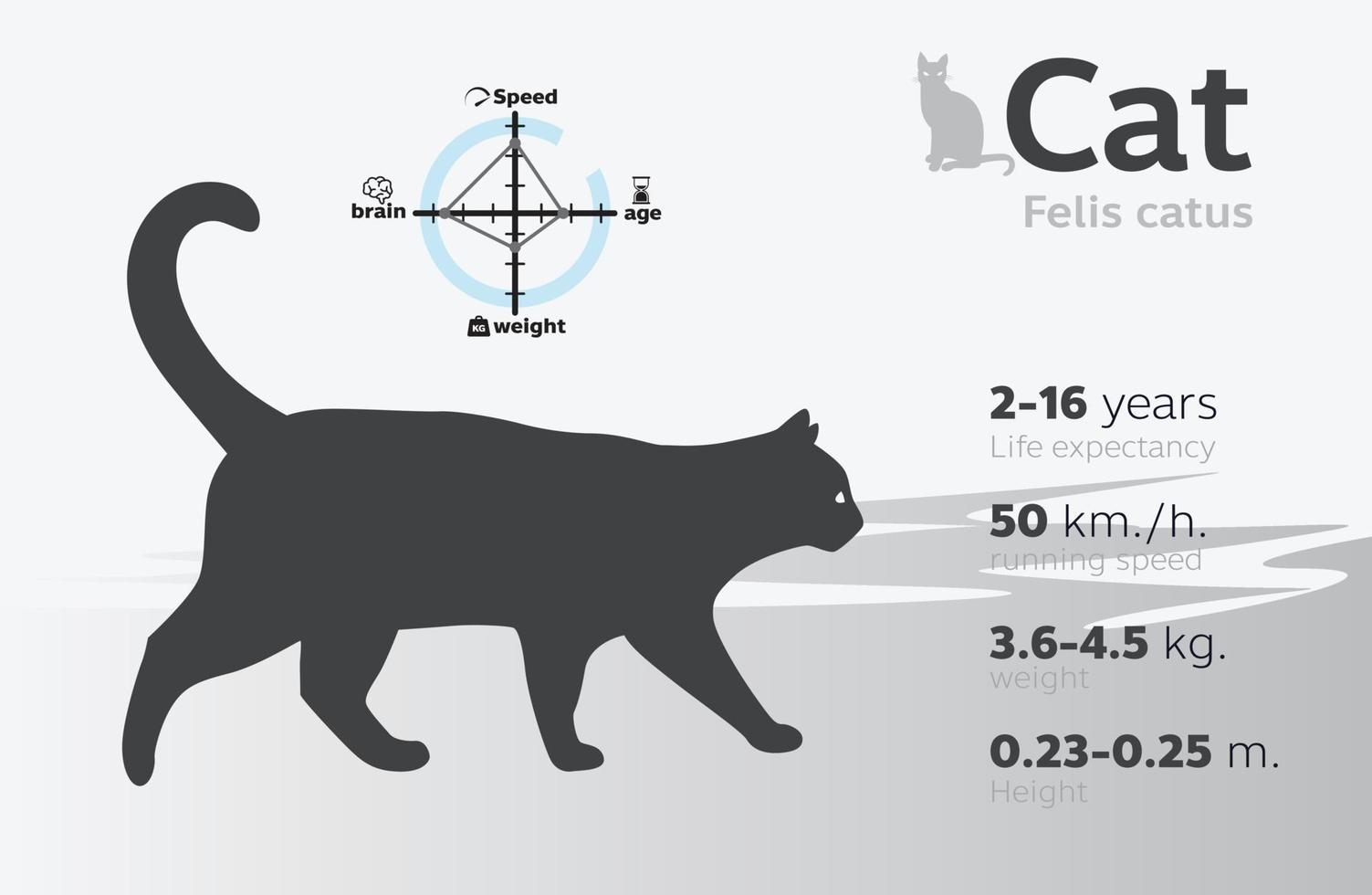 ilustração de informação de gato em um vetor de fundo 10