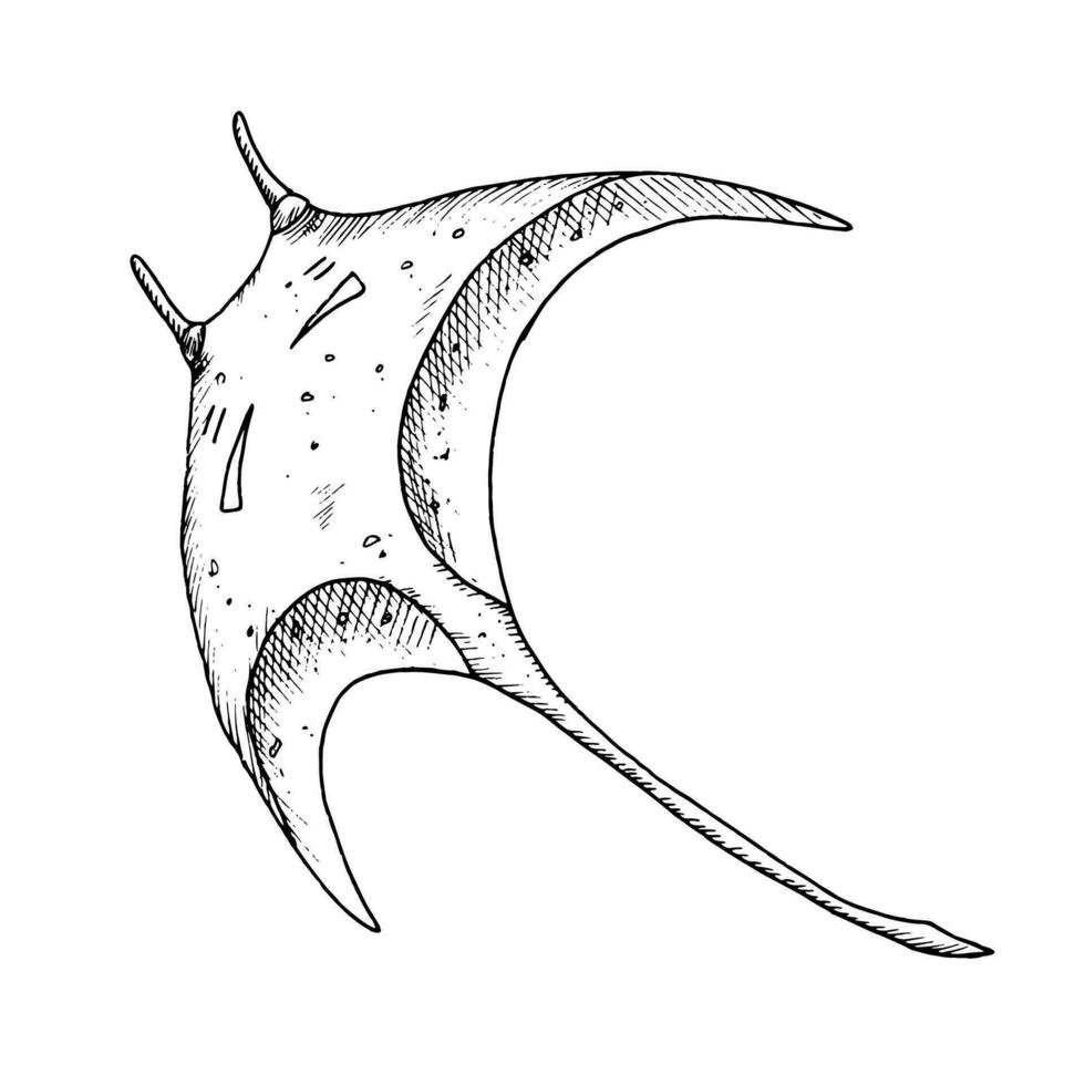 raio peixe. mão desenhado vetor ilustração do arraia em isolado fundo. desenhando do manta dentro esboço estilo pintado de Preto tintas para ícone ou logotipo. gravação do submarino animal para náutico Projeto.