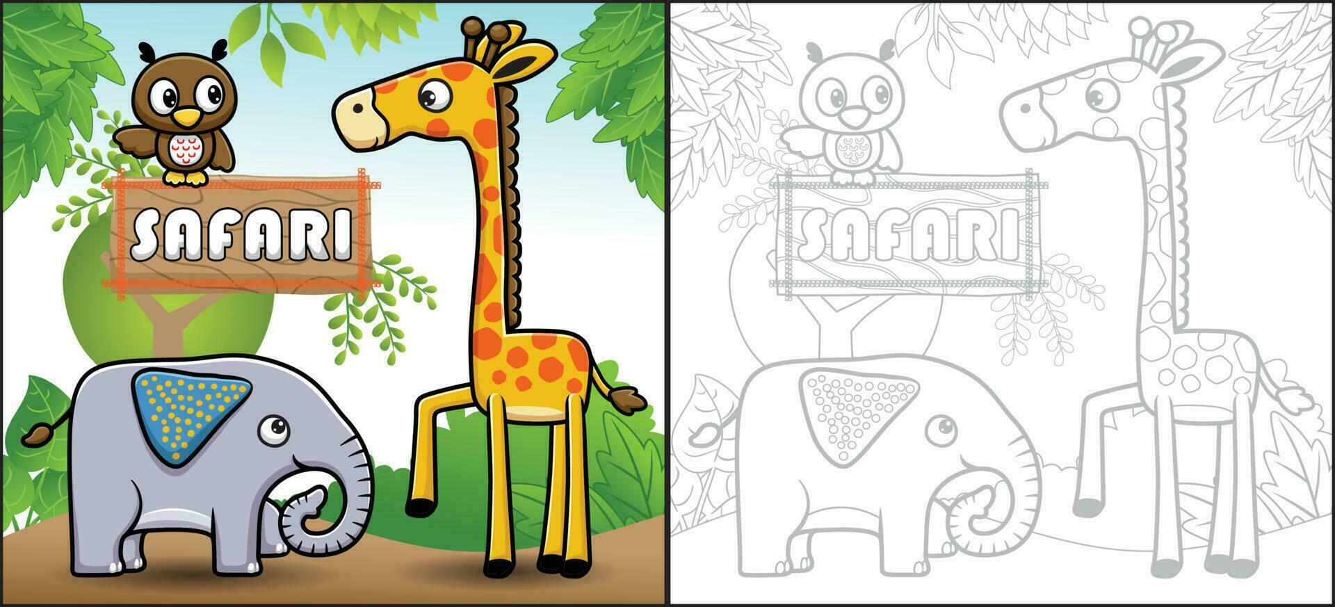 vetor desenho animado do engraçado safári animais. girafa, elefante e coruja. coloração livro ou página