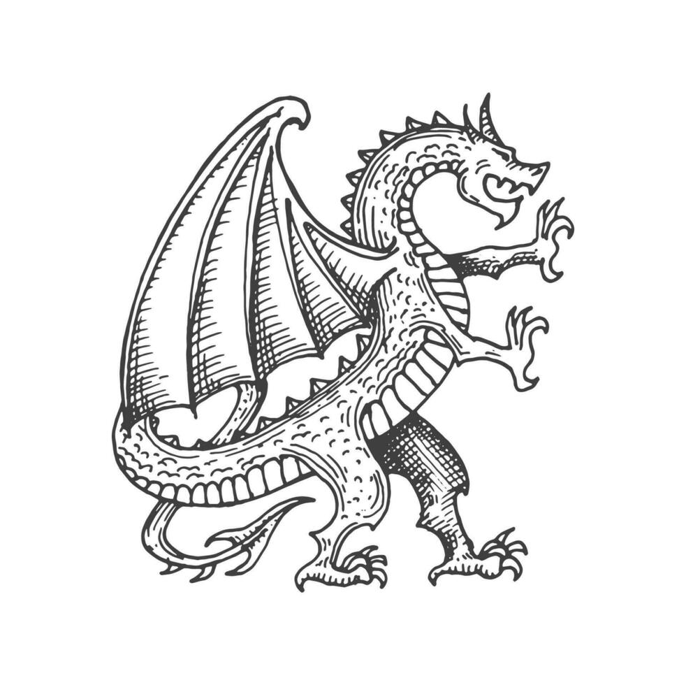 Dragão medieval heráldico monstro esboço símbolo vetor