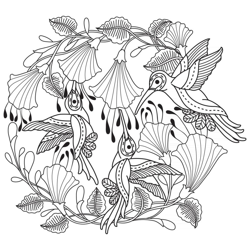 beija-flor e flor, esboço desenhado à mão para livro de colorir adulto vetor