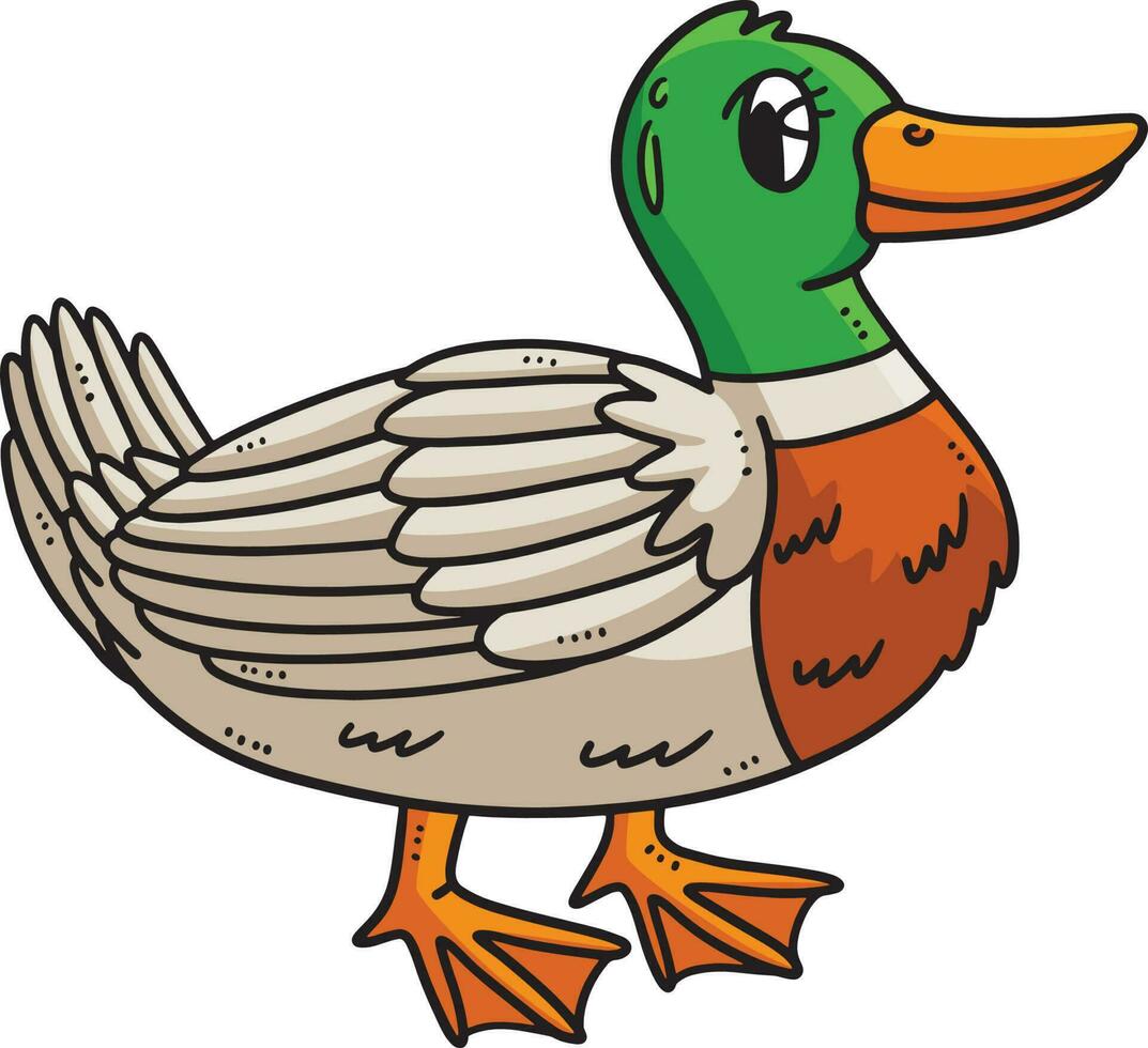 mãe Pato desenho animado colori clipart ilustração vetor