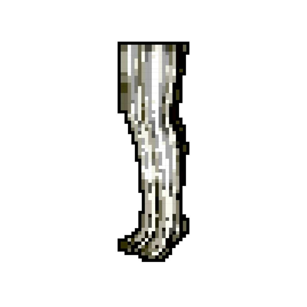 pé collants fêmea jogos pixel arte vetor ilustração