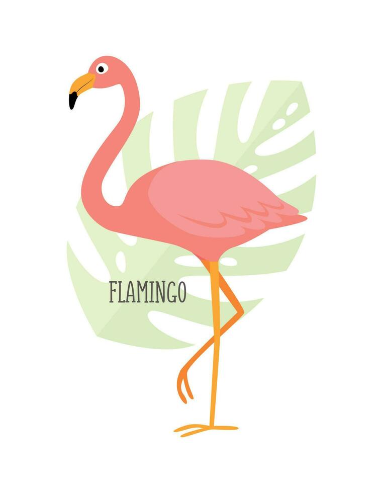 vetor tropical pássaros flamingo