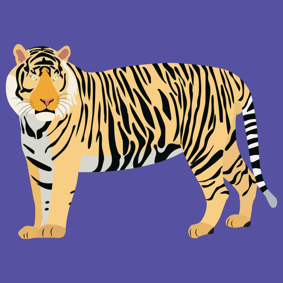 uma lindo tigre vetor arte trabalhar.