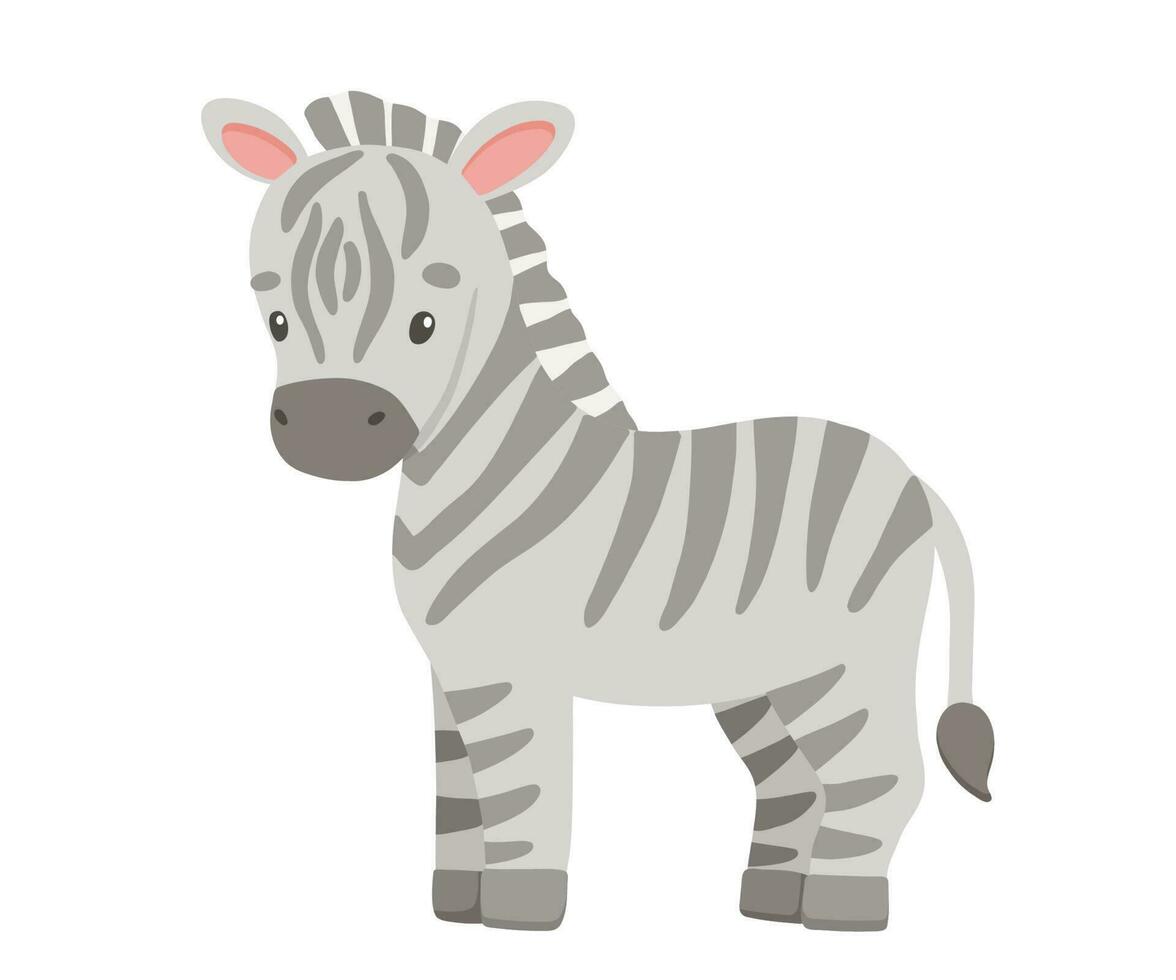 fofa zebra dentro desenho animado estilo. desenhando africano bebê selvagem animal isolado em branco fundo. vetor doce girafa para crianças poster e cartão. selva safári animal