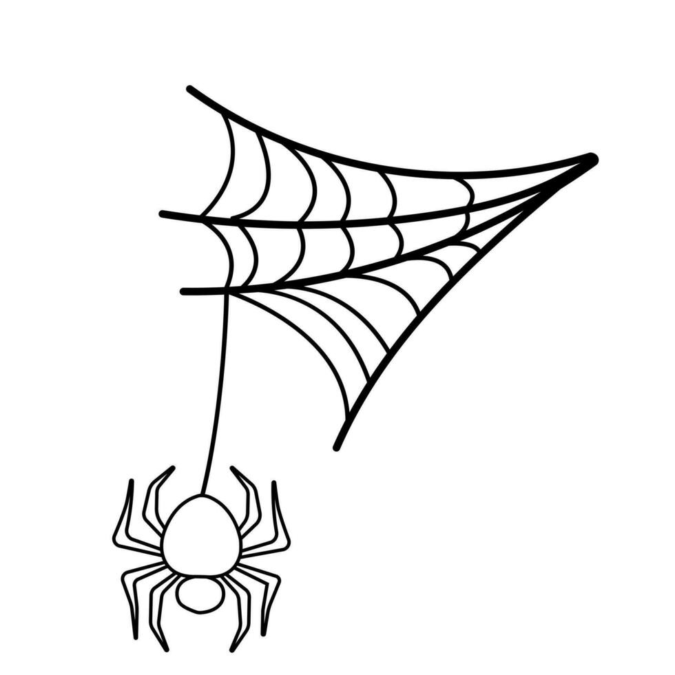 aranha ícone vetor. dia das Bruxas ilustração placa. rede símbolo teia de aranha logotipo. vetor