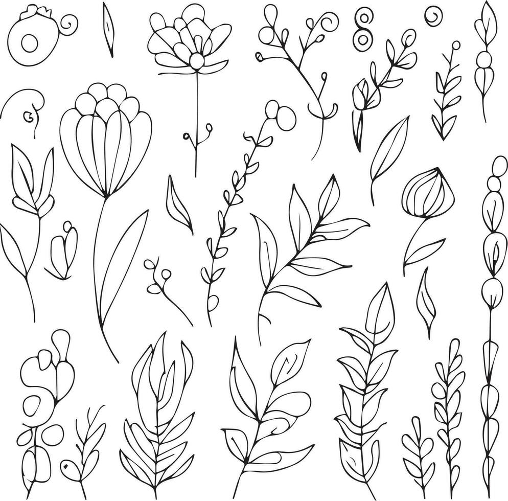 lindo monocromático Preto e branco botânico elementos isolado em branco. desenhado à mão folhas conjunto e, botânico vetor arte. minimilis folha desenho, simples botânico contorno.