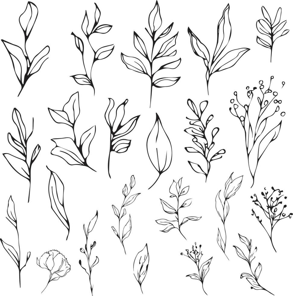lindo monocromático Preto e branco botânico elementos isolado em branco. desenhado à mão folhas conjunto e, botânico vetor arte. minimilis folha desenho, simples botânico contorno.