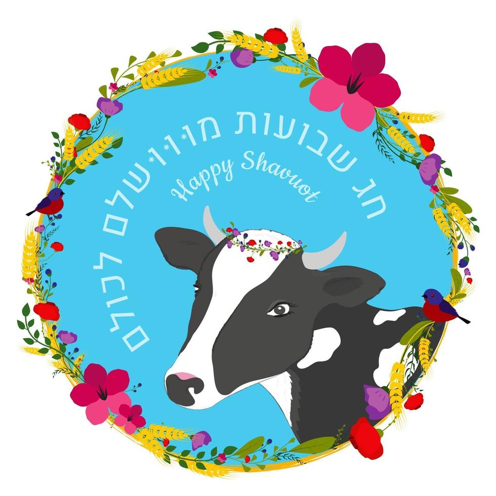 conceito de shavuot de feriado judaico com culturas de quadro de flores e texto de vaca em shavuot perfeito em hebraico para todos vetor